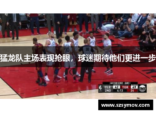 猛龙队主场表现抢眼，球迷期待他们更进一步