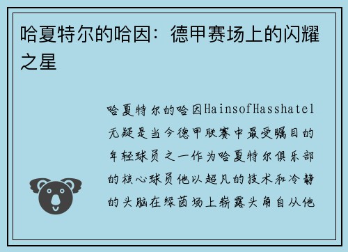 哈夏特尔的哈因：德甲赛场上的闪耀之星