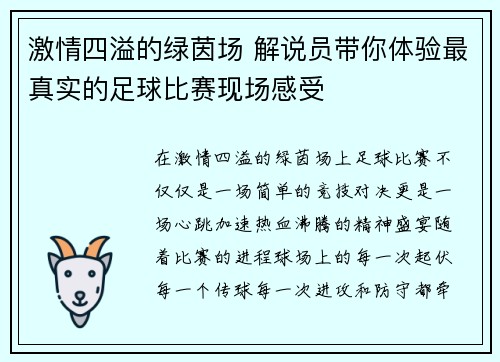 激情四溢的绿茵场 解说员带你体验最真实的足球比赛现场感受